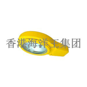 供应BLC8610 防爆道路灯，防爆路灯